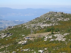 IMG_8004